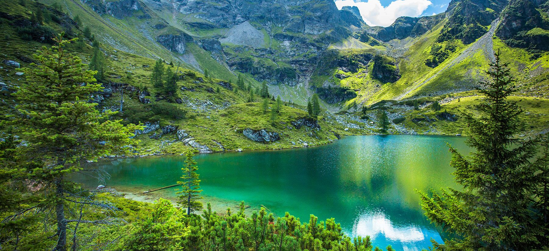 die traumhafte Moaralmsee